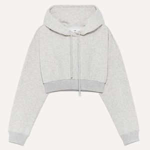 Aritzia TNA Super Cropped Hoodie